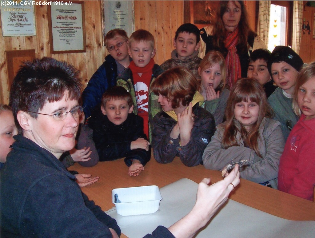 OGV-Jugendarbeit - Insekten